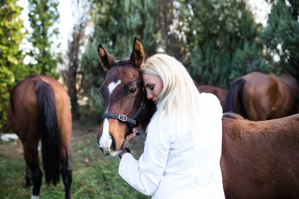 Tierarzt Mit Pferden Freien Auf Der Ranch — Stockfoto