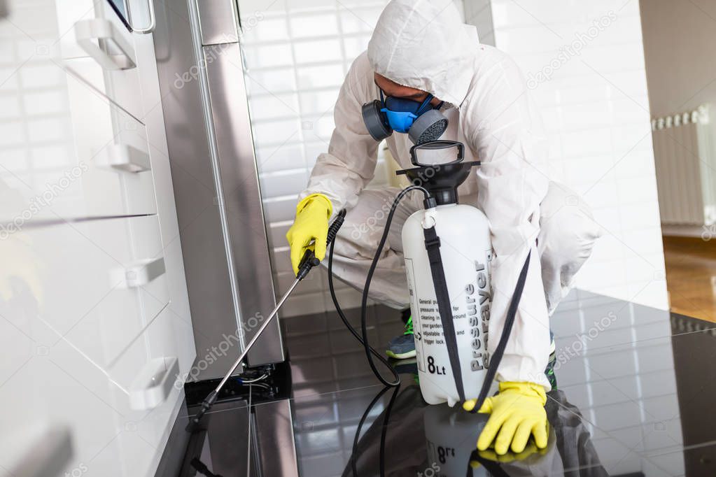 Exterminator in work wear spraying pesticide with sprayer. 