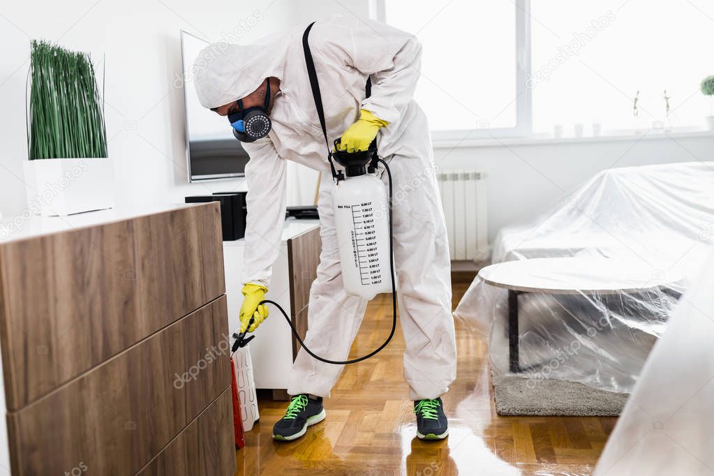 Exterminator in work wear spraying pesticide with sprayer. 