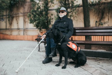 Olgun kör adam ve rehber köpeği bankta oturuyor..