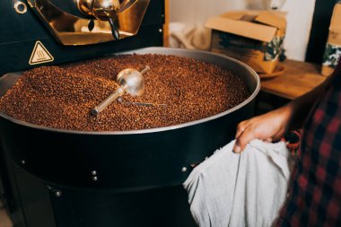 Modern kahve kızartma makinesinin üzerinde taze kavrulmuş aromatik kahve çekirdeklerini tutan adamın elleri..