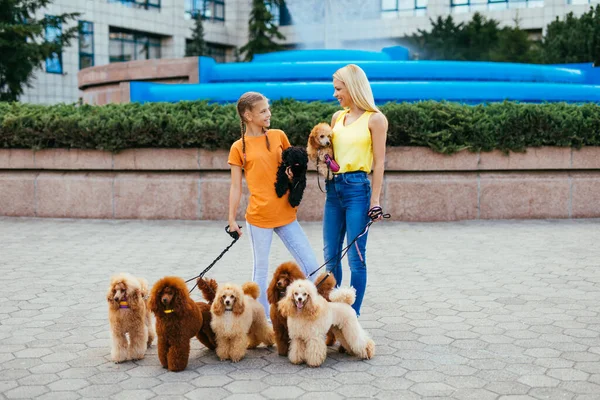 Mor Och Dotter Njuter Promenader Tillsammans Med Sina Pudel Stadens — Stockfoto