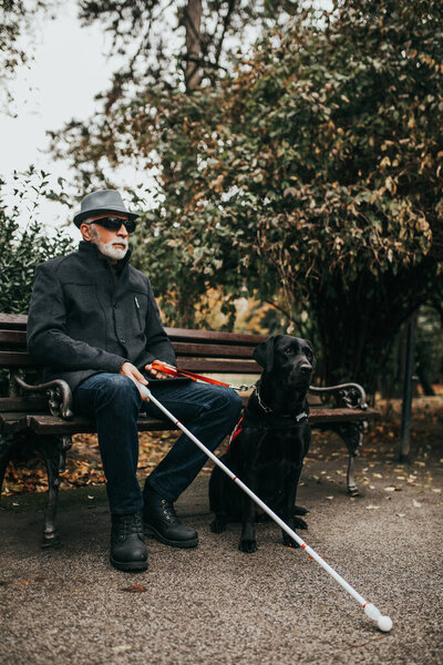 Mature blind man with a long white cane sitting in park with his guide dog.