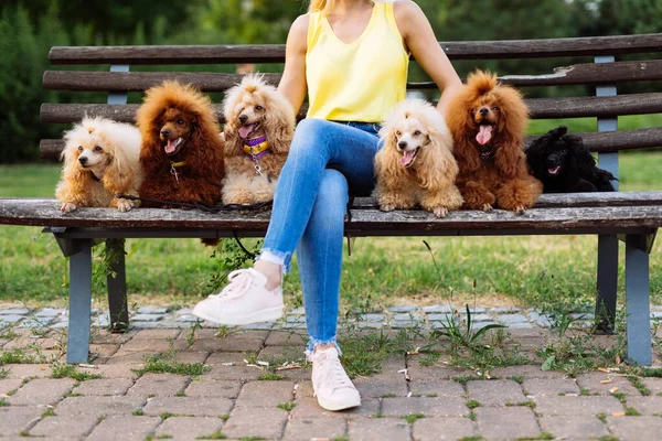 Hermosa Mujer Rubia Mediana Edad Disfruta Caminando Con Sus Adorables — Foto de Stock