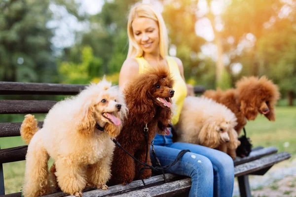 Beautiful Middle Age Blonde Woman Enjoys Walking Her Adorable Miniature — Stock Photo, Image