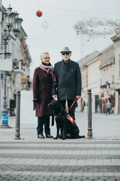 Mature blind man with a long white cane and his wife walking with their guide dog.