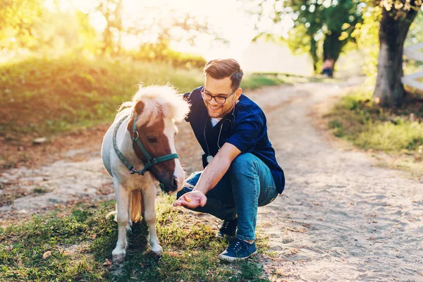 Mladý Atraktivní Muž Veterinář Vyšetření Krmení Rozkošný Malý Poník Kůň — Stock fotografie