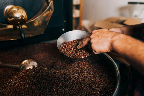 Människans Händer Håller Nyrostade Aromatiska Kaffebönor Över Modern Kaffebryggare — Stockfoto