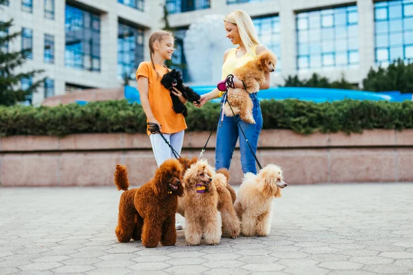 Madre Hija Disfrutando Paseo Junto Con Sus Caniches Calle Ciudad — Foto de Stock