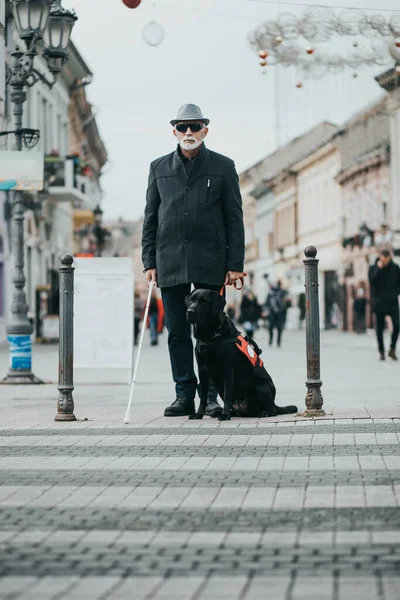Rehber Köpek Kör Adamın Karşıya Geçmesine Yardım Ediyor — Stok fotoğraf