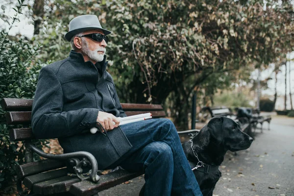 Mature blind man with a long white cane walking in park with his guide dog.