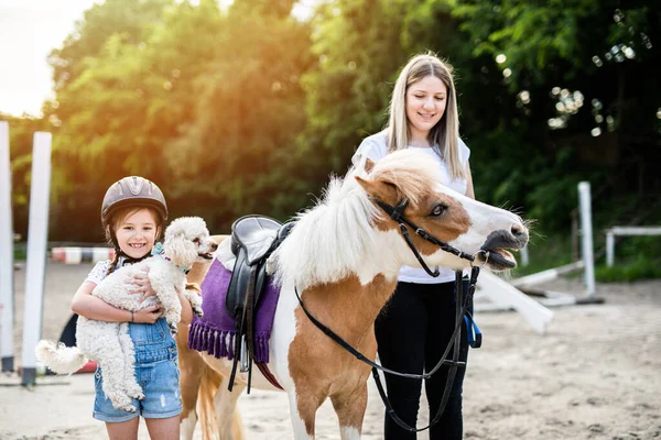 Roztomilé Holčička Její Starší Sestra Těší Pony Koni Venku Ranči — Stock fotografie