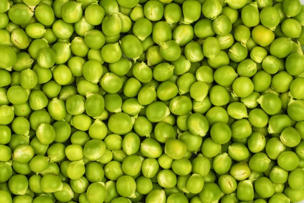 Cosecha Guisantes Verdes Frescos Concepto Alimento Ecológico — Foto de Stock