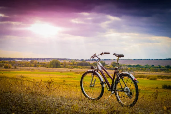 Городской Фиолетовый Велосипед Проселочной Дороге — стоковое фото