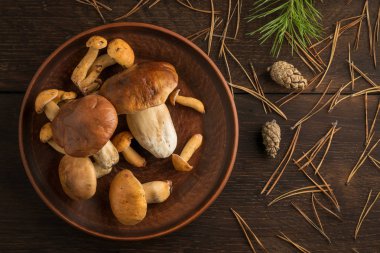 Yenilebilir yabani mantar bir tabak içinde bir grup.