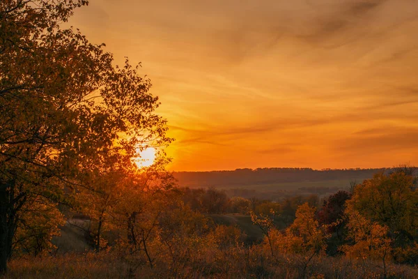 Piękny zachód słońca nad łąka na wsi — Zdjęcie stockowe