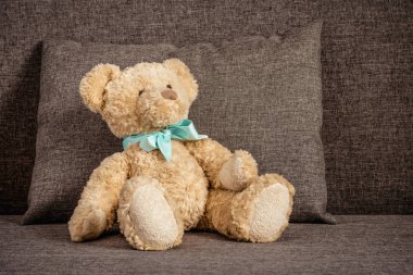Bir kanepe yastık yanındaki koltukta oturan oyuncak ayı.