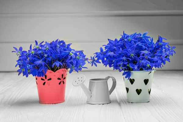 Beaux bouquets de fleurs de forêt printanière dans des seaux décoratifs — Photo