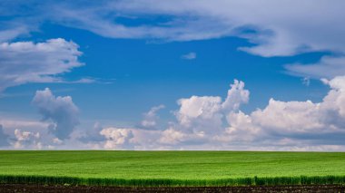 Güzel kırsal manzara. Bulutlar ile genç buğday ve mavi gökyüzü Alanı.