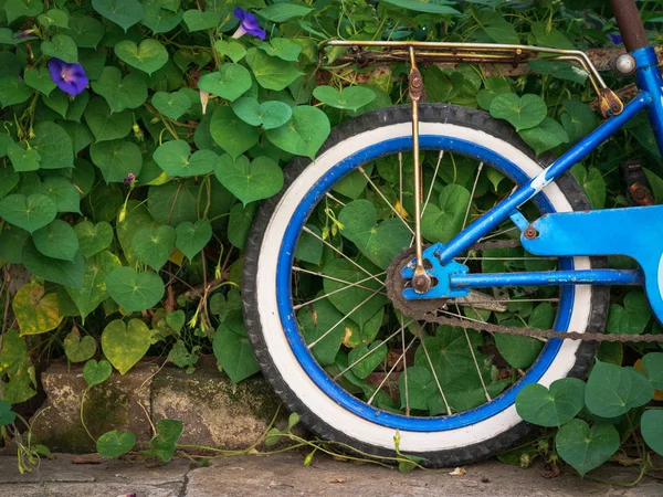 Ruota posteriore di primo piano di una vecchia bicicletta da bambini su uno sfondo — Foto Stock