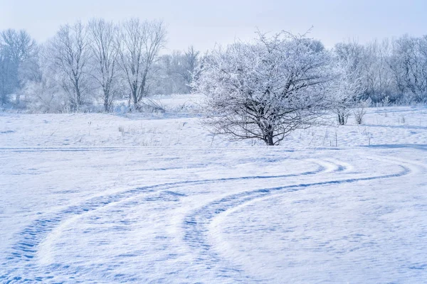 Pista de ruedas de coche en la nieve y árboles en un día de invierno helada —  Fotos de Stock