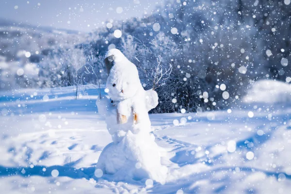 Muñeco de nieve en un día de invierno contra el fondo del bosque y la nieve —  Fotos de Stock