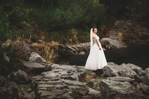 Vista trasera de la novia en hermoso vestido de novia de pie en la orilla del lago con vista panorámica de la montaña en Polonia . — Foto de Stock
