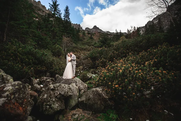 Evlilik çift yakın göl Polonya Tatra Dağları'nda yürüyüş. Morskie Oko. Güzel yaz günü — Stok fotoğraf