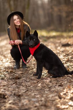 Sonbaharda parkta yürüyen bir köpek ile genç kız. Kız güzel bir siyah şapka vardır. Ve köpeğinin boynunda kırmızı bir eşarp var.