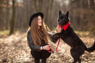 Güzel kadın köpeği açık havada okşayarak. Güzel kız oynarken ve adı Brovko Vivchar onu PET ile eğlenin