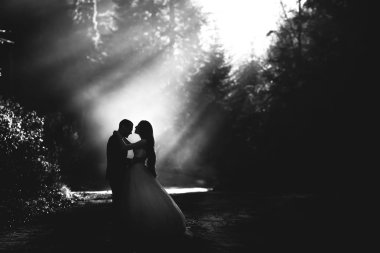 Güneşli bir gün içinde Karpatlar Dağları düğün çift. Siyah beyaz