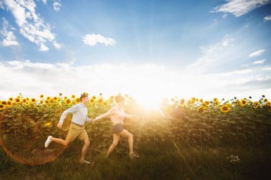 Ayçiçeği alanında yürüyen genç bir çift. Bir aşk hikayesi