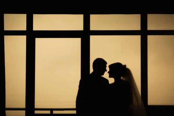 La novia y el novio se paran cerca de la ventana. Silueta de familia feliz —  Fotos de Stock