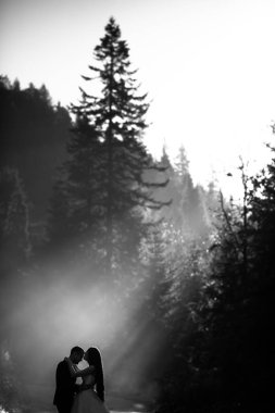 Güneşli bir gün içinde Karpatlar Dağları düğün çift. Siyah beyaz