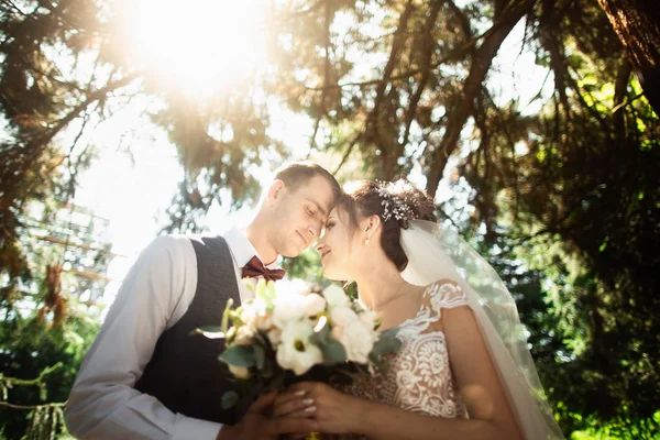 Szép napsütéses nap. A természet hátterére jelentő esküvői pár — Stock Fotó