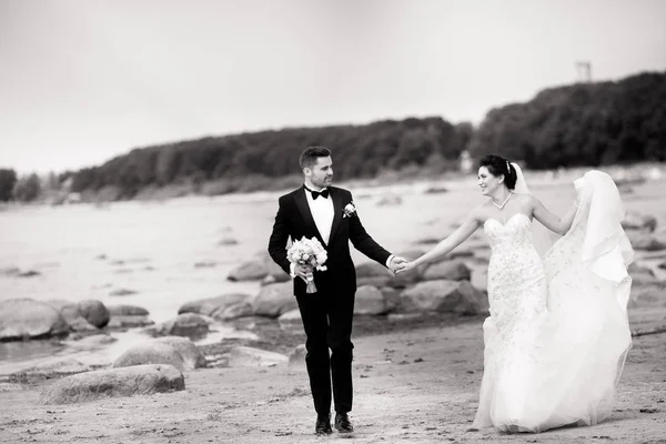 Stílusos esküvő pár állva a tenger partján. Az újak a tengeren sétálnak. Fekete-fehér — Stock Fotó