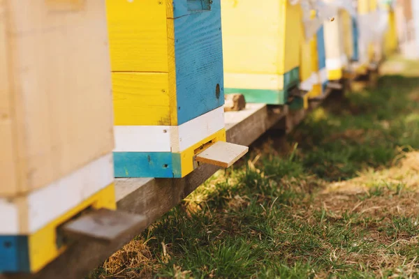 Včelí úl detail zblízka. Včely pracují. — Stock fotografie
