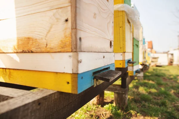 Včelí úl detail zblízka. Včely pracují. — Stock fotografie