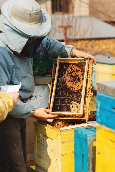 Μελισσοκόμος εργάζεται με τις μέλισσες και την επιθεώρηση κυψέλη μελισσών μετά το χειμώνα — Φωτογραφία Αρχείου