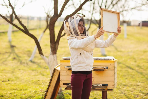 Ein junges Imkermädchen arbeitet am Frühlingstag mit Bienen und Bienenstöcken im Bienenhaus — Stockfoto