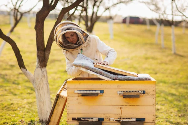 Молодая девушка-пчеловод работает с пчелами и ульями на пасеке в весенний день — стоковое фото