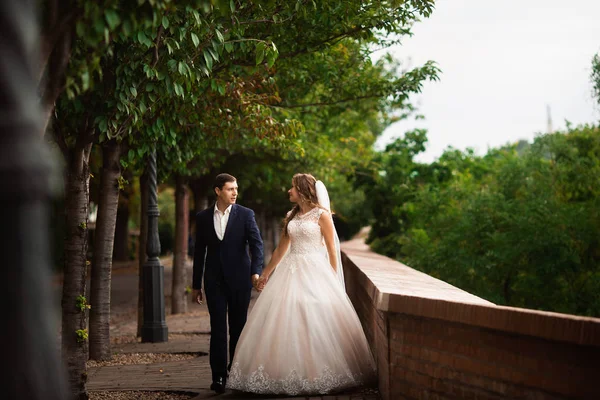 公園を歩く新婚夫婦。木々の間を歩いて笑顔の幸せな豪華な結婚式のカップル — ストック写真