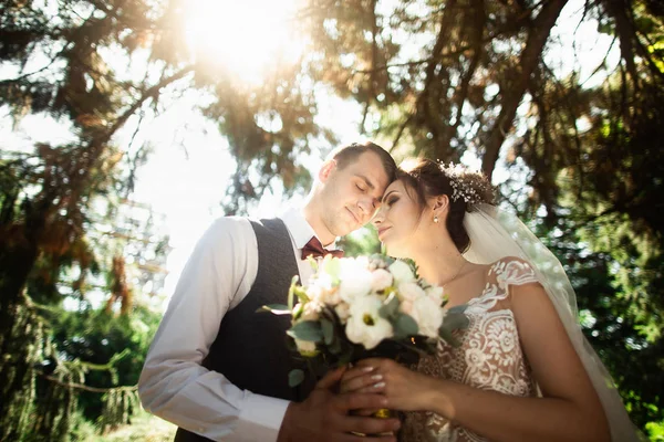 Hermoso día soleado. Pareja de boda posando en el fondo de la naturaleza —  Fotos de Stock