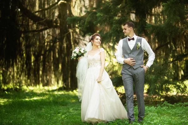 Egy esküvő pár élvezi séta az erdőben. Newlyweds ölelés és tartsa kezét — Stock Fotó