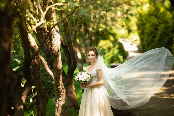 美丽的新娘在公园里散步。婚礼面纱散风。新娘在惊人的自然周围的美丽肖像 — 图库照片