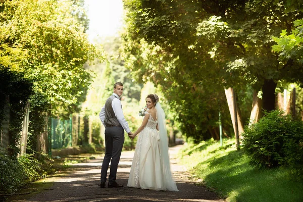 Ein Hochzeitspaar spaziert durch den sonnigen Park. Frischvermählte halten Händchen. zurück — Stockfoto