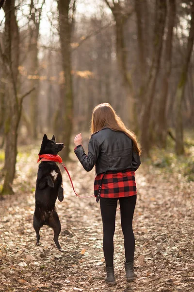 Photo of the beautiful girl with her black dog in the wood. Back view