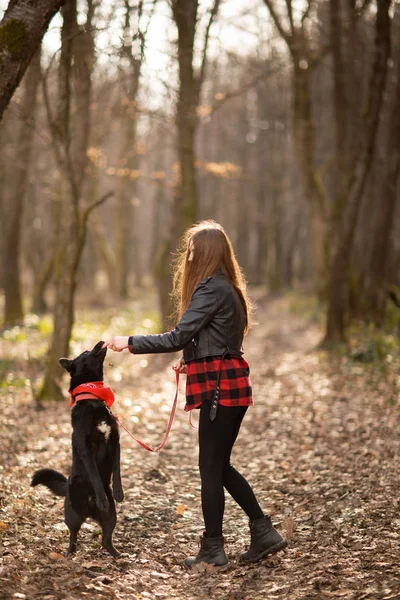 Photo of the beautiful girl with her black dog in the wood. Back view