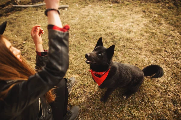 Eski ahşap evin fron onun siyah köpek Brovko Vivchar ile plaing mutlu genç kadın