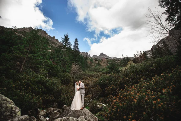 Hochzeitspaar beim Spaziergang am See in der Tatra in Polen. morskie oko. schöner Sommertag — Stockfoto